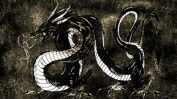 THE BLACK DRAGON, dragon, black, legend, beast HD wallpaper