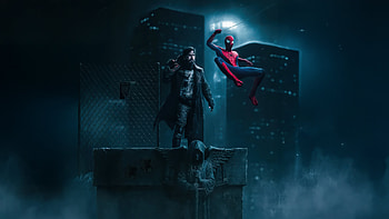 The Punisher X Spiderman Strikes, punisher, spiderman, spider-man-brand-new-day, superheroes, artwork, art, digital-art HD wallpaper
