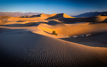 Sand Dunes in California, desert, sand, dunes, California HD wallpaper