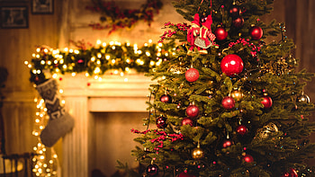 Stunning visuals, Joyful celebrations, Festive cheer, Christmas magic HD wallpaper