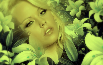 So Soft, soft, fantasy, woman, flower HD wallpaper