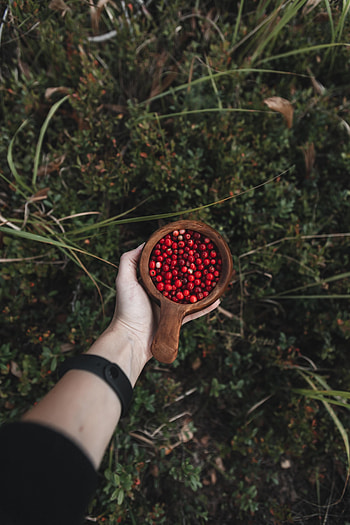 Berries, Hand, Miscellanea, Miscellaneous, Wood, Wooden, Cup, Mug, Cowberry, Lingonberry HD phone wallpaper