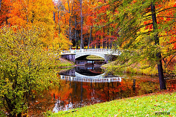 Autumn scenery with Lake in colourful forest, Leaves, City, Autumn, Bridge HD wallpaper