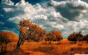 armenia-byurakan, clouds, trees, fields, nature HD wallpaper