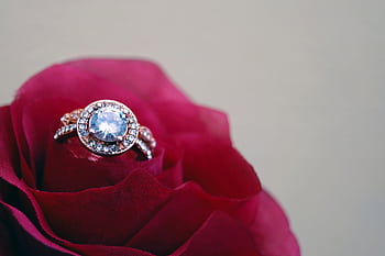 A close-up shot of a sparkling diamond engagement ring nestled in a vibrant red rose, symbolizing love and romance. HD wallpaper
