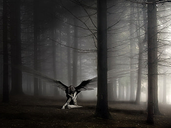 Fantasy, Angels HD wallpaper