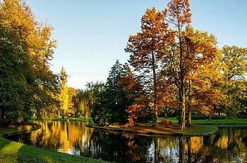 Beauty of Nature, Netherland, Pond, Trees, Park, Autumn HD wallpaper