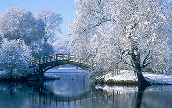 Winter, blue, frozen, bridge, water, park, tree, lake HD wallpaper