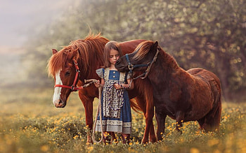 Friends, girl, horse, love HD wallpaper