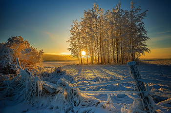 winter sunsets, winter, nature, , snow HD wallpaper