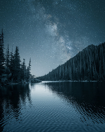 Night out, lake, forest, nature HD phone wallpaper