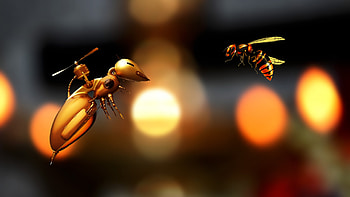 Robotic, Bees HD wallpaper