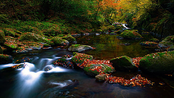 Fall Nature Screensavers Nature Screensavers HD wallpaper