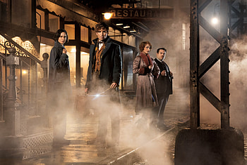 Fantastic Beasts And Where To Find Them, fantastic-beasts-and-where-to-find-them, 2016-movies, movies HD wallpaper