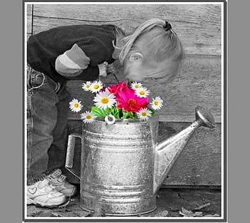 Flowers color our lives, color, black and white, flowers, girl, watering can, child HD wallpaper
