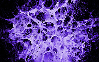 Background, Patterns HD wallpaper