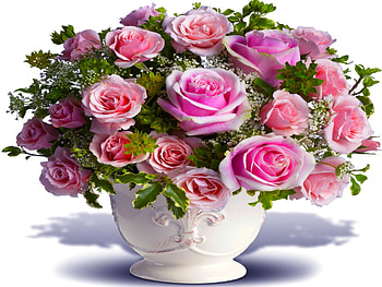 PINK ROSES, pink, roses, vase, nature, spring HD wallpaper