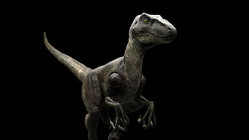 Artstation velociraptor, Jurassic Park, Dinosaur artwork, Digital illustration HD wallpaper
