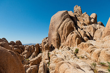 Nature, Stones, Bush, Rocks, Relief, Stone HD wallpaper