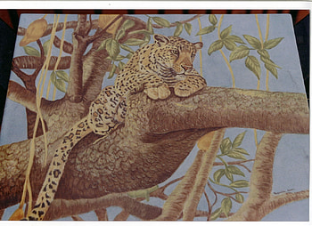 Kitty In A Tree, snoozing, branch, lazy, leopard HD wallpaper