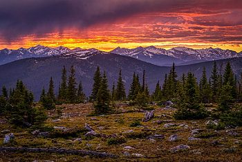 Tree-Line-Treasure, Backcountry, Rocky Mountain National Park, clouds, colors, sky, mountains, forest HD wallpaper