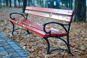 Red bench in a scenic autumn park setting with fallen leaves. HD wallpaper