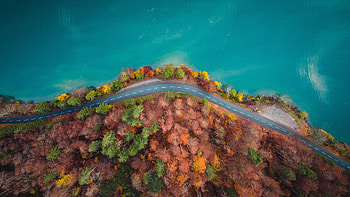 Curve of highway, autumn, nature, aerial view HD wallpaper