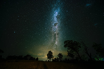 Nature, Trees, Universe, Starry Sky HD wallpaper
