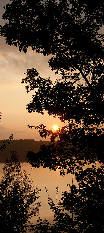 nature, sunrise HD phone wallpaper