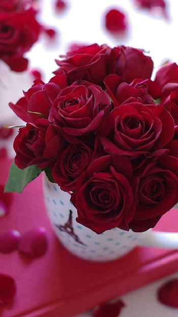 Happy Birtay, Roses HD phone wallpaper