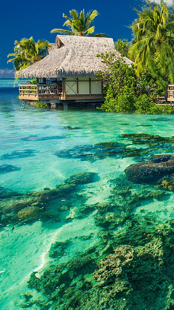 graphy, Tropical, French Polynesia, Exotic locations HD phone wallpaper