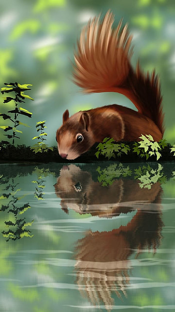 Squirrel, animal, paint HD phone wallpaper