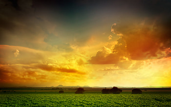 Landscape, Sunset, Fields, Clouds HD wallpaper