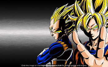 Dragon Ball Z Goku And Vegeta or for your PC, Mac . HD wallpaper