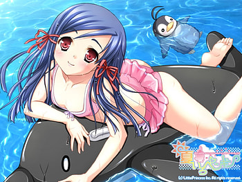 Pool Fun, anime girl, penguin, anime, bikini, pool, dolphin HD wallpaper