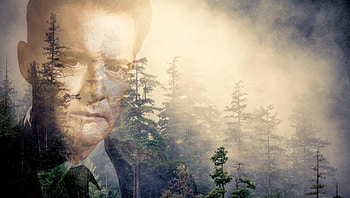 Twin Peaks (2022) movie HD wallpaper