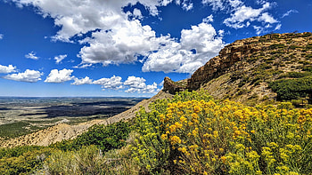 Knife's Edge, Mesa Verde National Park, Colorado, wildflowers, clouds, landscape, sky, rocks, usa HD wallpaper