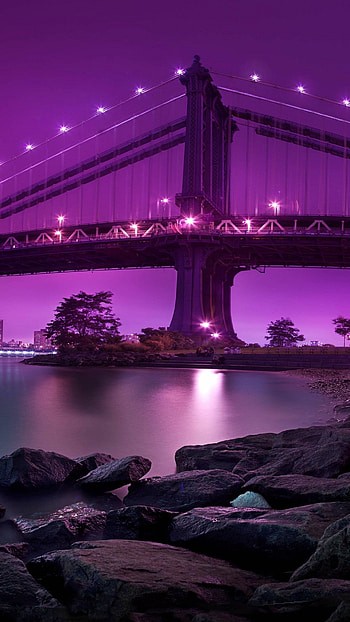 Latest, Purple HD phone wallpaper