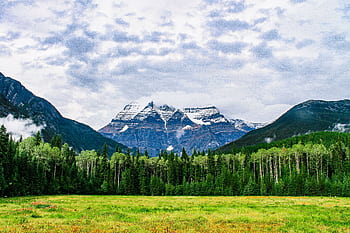 A scenic view of a snow-capped mountain surrounded by lush green forests and a cloudy sky. HD wallpaper
