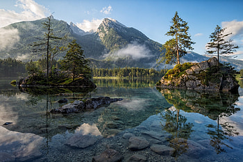 Pine Tree, Mountain landscape, Water HD wallpaper