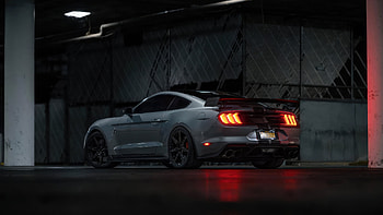 Ford Mustang Shelby Gt 500, ford-mustang, shelby, ford, 2024-cars, cars HD wallpaper