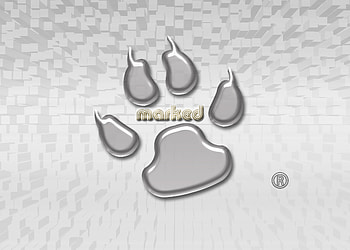 marked, wall, marked wall, original HD wallpaper