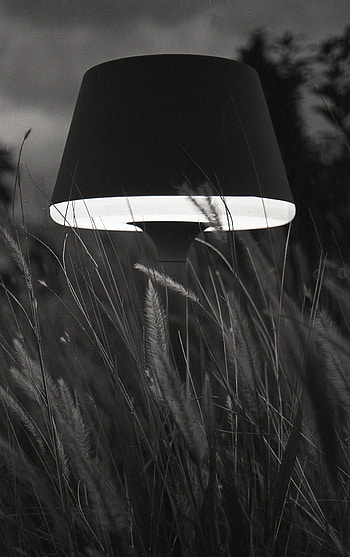 Grass, Miscellanea, Miscellaneous, Lamp, Bw, Chb, Floor Lamp HD phone wallpaper