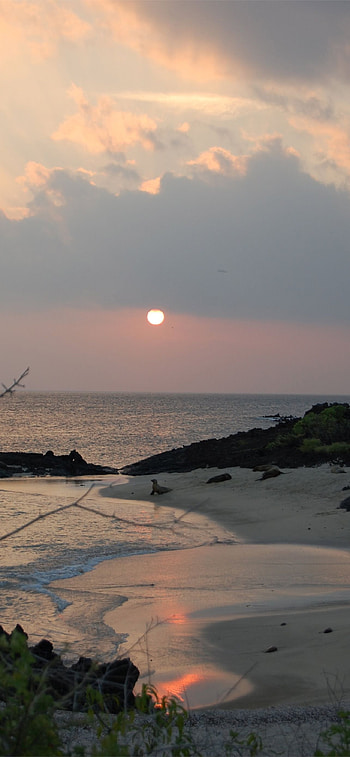 Galapagos Islands, Travels HD phone wallpaper
