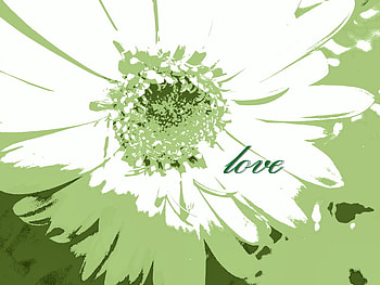 love me, wedding, love, green, flower HD wallpaper