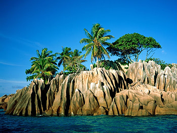 Landscape, Trees, Mountains, Sea, Palms HD wallpaper