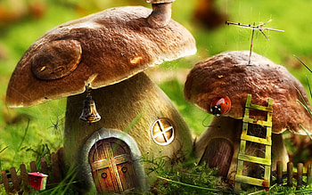 mushrooms-house, other, mushroom HD wallpaper
