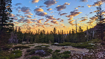 Popcorn Sky, Tamarack Lakes, Tahoe Nat'l Forest, california, trees, clouds, usa, sunset HD wallpaper