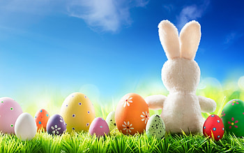 Easter Bunny, Easter, grass, eggs, bunny, Easter eggs, sky, Spring, rabbit HD wallpaper
