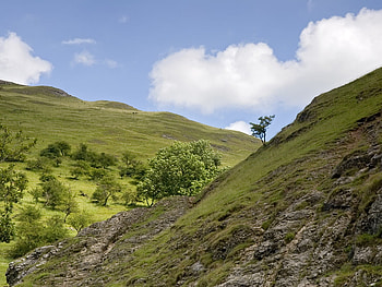 Green Hills Of The English Countryside, grass, hills, shrubery, countryside HD wallpaper